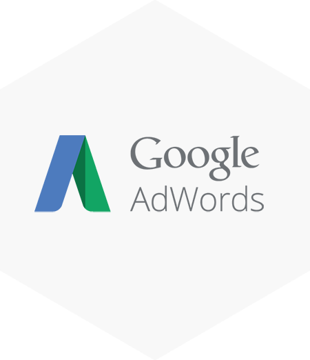 https://www.premiumitsolutions.com.au/wp-content/uploads/2016/12/Premium-IT-Solutions-Google-Adwords-Pay-Per-Click-Management.png